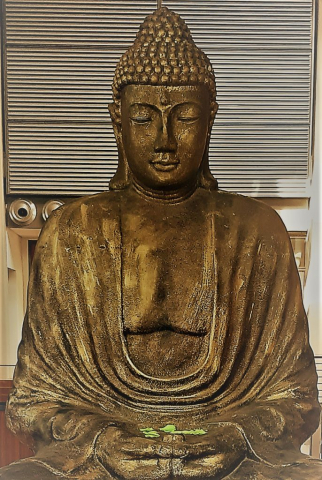 buddha buddha