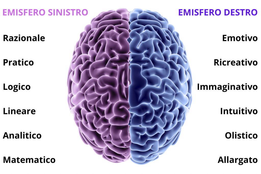 emisfero sinistro e destro del cervello emisfero sinistro e destro del cervello