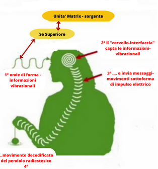 percezione radioestesia